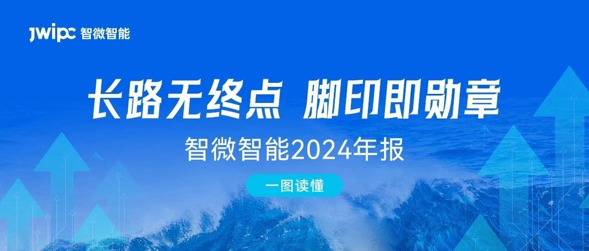 一圖讀懂：智微智能2024年報